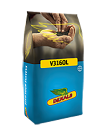 Pose med V316OL